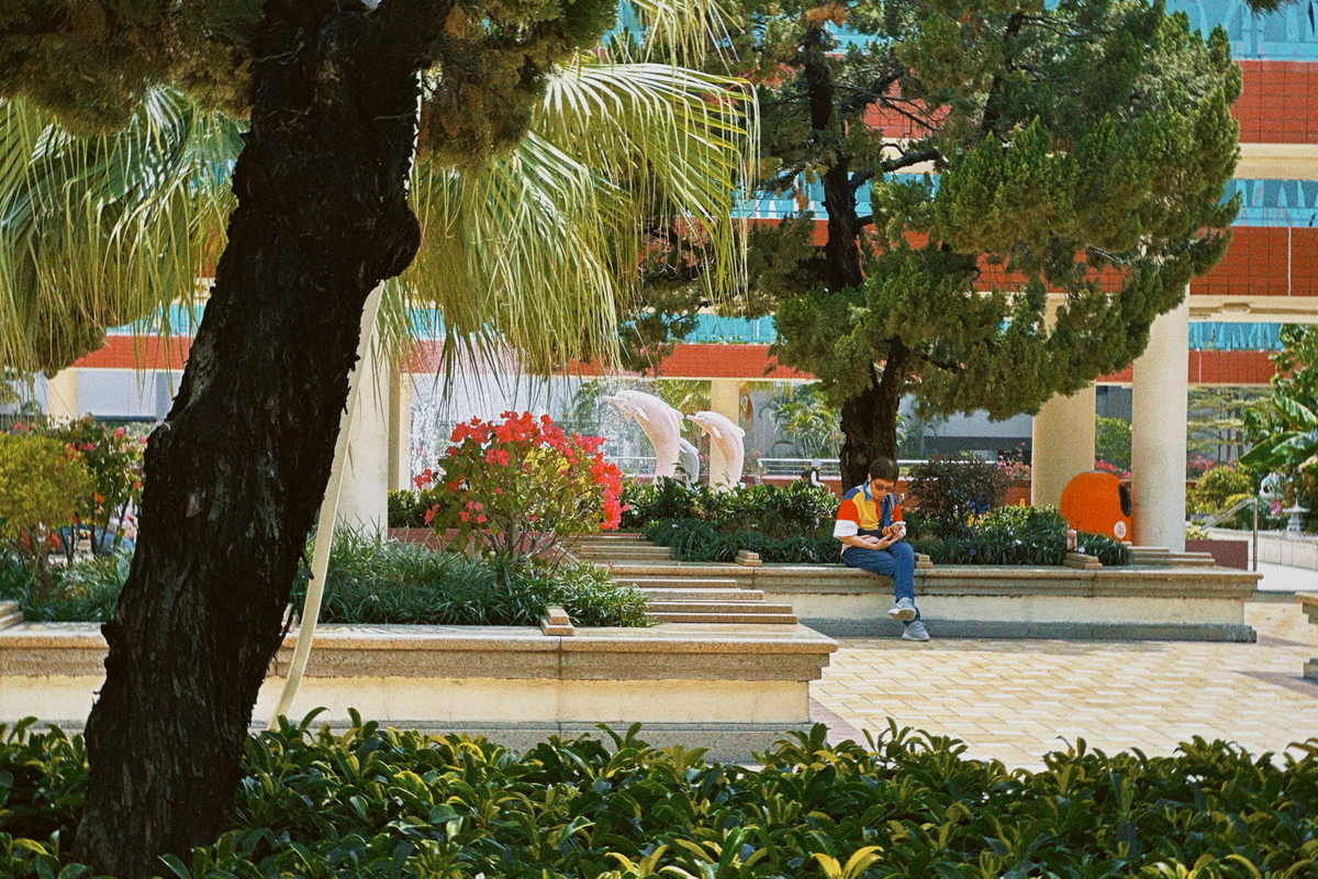 The Power of Biophilic Design